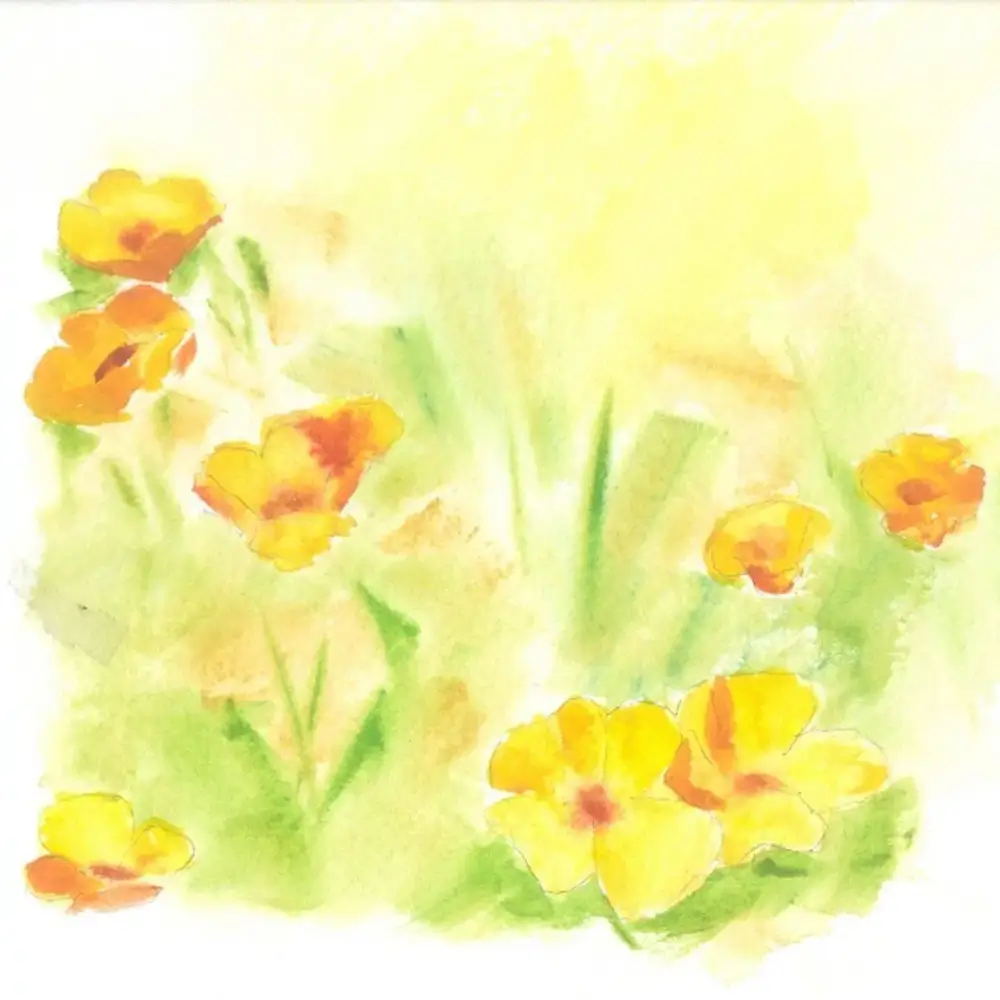 California Poppies in watercolor art