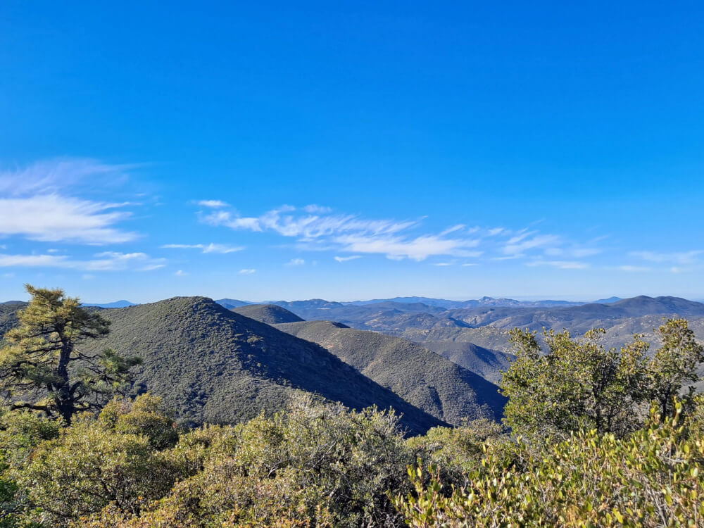 Mount Laguna area in December