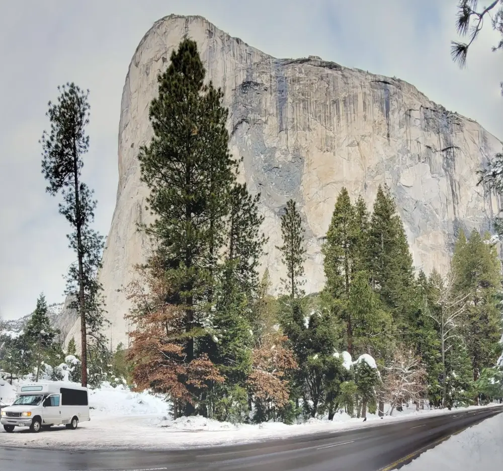 Planning where to go on vacation this Winter? Towering Yosemite cliff behind towering pines.