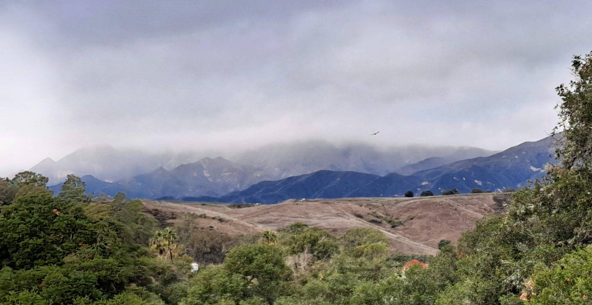 Misty Mountains California